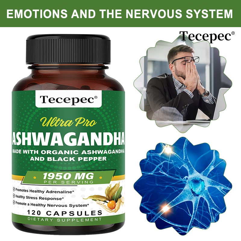 Ashwagandha Extract Root - Cápsulas de Extrato de Raiz de
